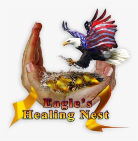 Eagles Healing Nest Logo, HD Png Download, Free Download