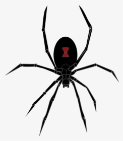 Spider Redback Southern Black Widow Clip Art Cartoon - Black Widow Spider Png, Transparent Png, Free Download