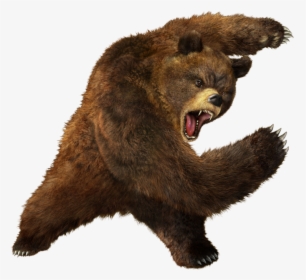 Vertebrate,brown Bear,grizzly Figure,kodiak Bear,fur,yawn - Bear Png, Transparent Png, Free Download