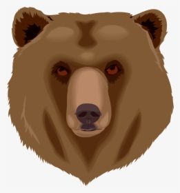 Head,carnivoran,bear - Grizzly Bear Head Clip Art, HD Png Download, Free Download