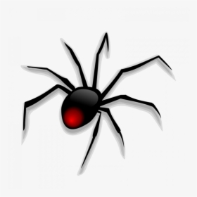 Download Free Clipart Spider - Spider Clipart Png, Transparent Png, Free Download