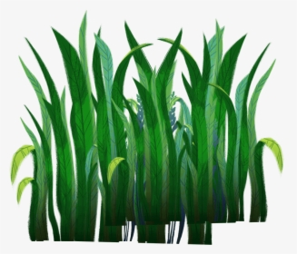 Transparent Long Grass Png - Grass, Png Download, Free Download