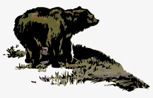 Transparent Grizzly Bears Clipart - Bear, HD Png Download, Free Download