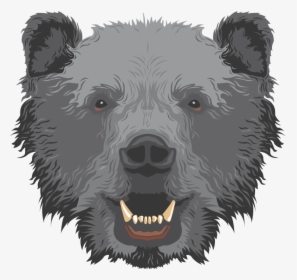 Transparent Polar Bear Clipart - Grizzly Bear, HD Png Download, Free Download