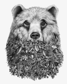Grizzly Bear Png, Transparent Png, Free Download