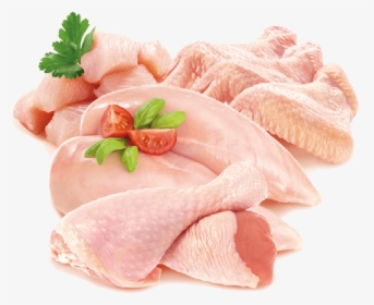 Ham-hock - Carne De Pollo Png, Transparent Png, Free Download