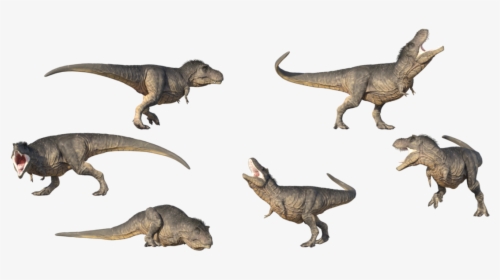 T Rex Png Transparent Image - T Rex Reference, Png Download, Free Download