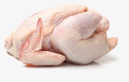Chicken Meat Png Photo - Chicken Meat Png, Transparent Png, Free Download