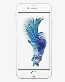 Apple Iphone 6s 16gb Silver, HD Png Download, Free Download