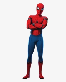 Spider Man Png - Spider Man Homecoming Spider Man, Transparent Png, Free Download