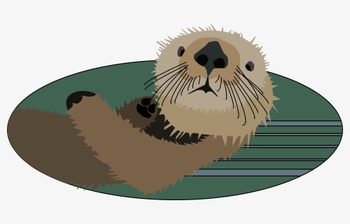 Otter, Animal, Mammal, Wildlife, Nature, River, Zoo - Sea Otter Clipart, HD Png Download, Free Download