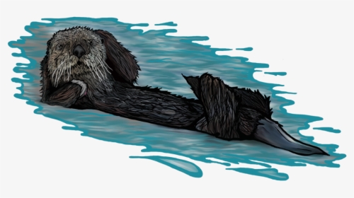Transparent Otter Png - Sea Otter, Png Download, Free Download
