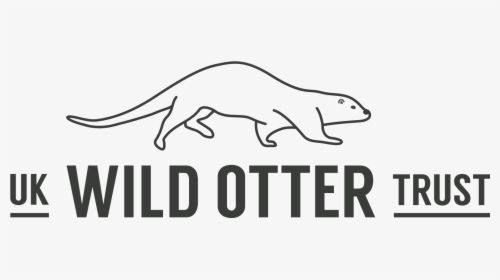 Uk Wild Otter Trust - Otter Trust, HD Png Download, Free Download