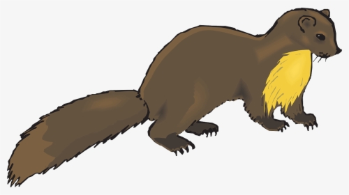 Otter Clipart Transparent - Mink Clipart, HD Png Download, Free Download