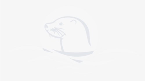 Otter Tarn Holiday Accommodation - Sea Otter, HD Png Download, Free Download