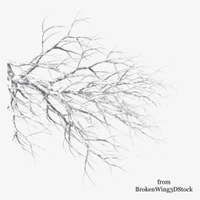 A Tree In Winter - Tree Branch Covered In Snow Drawing, HD Png Download, Free Download