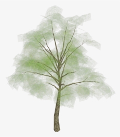 Tree Png Picture - Grass, Transparent Png, Free Download