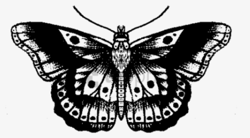 Butterfly Tattoo Designs Png Transparent Images - Harry Styles Butterfly Tattoo Drawing, Png Download, Free Download