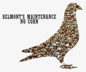 Belmont"s Maintenance Pigeon Mix No Corn"  Title="belmont"s - Pigeons And Doves, HD Png Download, Free Download