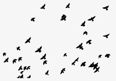 Flock Of Pigeons Silhouette Clip Arts - Pigeon Silhouette Png, Transparent Png, Free Download