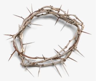 Crown Of Thorns Background - Transparent Background Crown Of Thorns Png, Png Download, Free Download