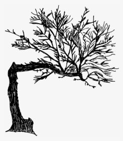 Tree Png Drawing, Transparent Png, Free Download