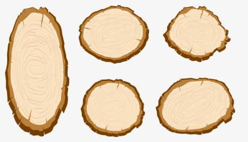 Transparent Tree Stump Png - Wood Slice Vector Free, Png Download, Free Download