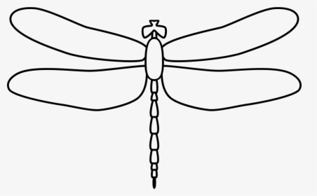 Dragonfly - Black And White Dragonfly Outline Png, Transparent Png, Free Download