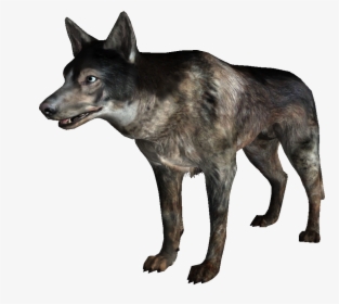 Wild Dogs Png Images Download - Savage Dog Fallout, Transparent Png, Free Download