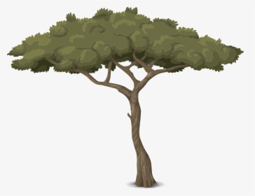 Baum Mit Hohem Stamm, HD Png Download, Free Download