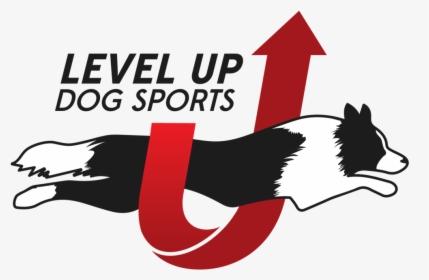 Levelup Branding Final 01 - Dog Catches Something, HD Png Download, Free Download