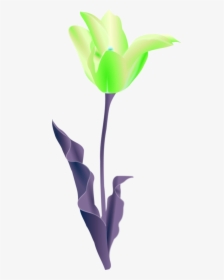 Simple Flower Outline - Tulip Clip Art, HD Png Download, Free Download
