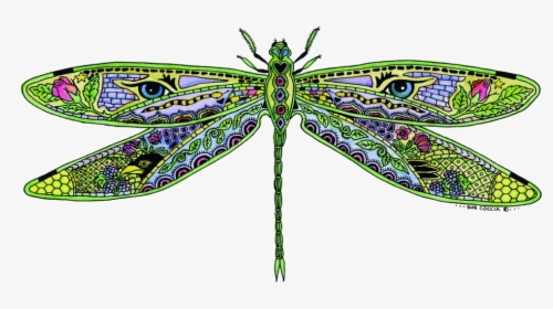 Dragonfly Png Pic - Sue Coccia Dragonfly, Transparent Png, Free Download