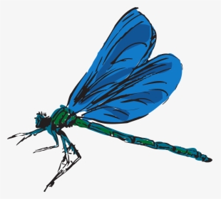 Blue Dragonfly Transparent Background, HD Png Download, Free Download