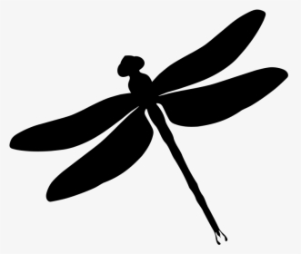 Dragonfly Clipart - Simple Dragonfly Clipart Black And White, HD Png Download, Free Download
