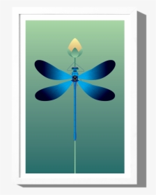 Rkr Dragonfly Frame White, HD Png Download, Free Download