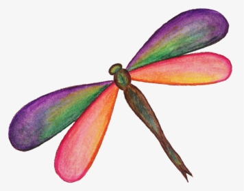 Download Dragonfly Png Hd - Dragonfly .png, Transparent Png, Free Download