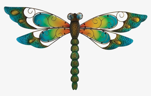 Dragonfly Png Image - Portable Network Graphics, Transparent Png, Free Download
