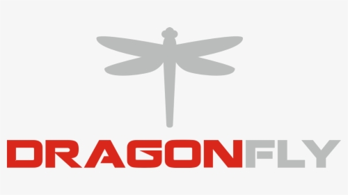 Transparent Dragonfly Png - Dragonfly, Png Download, Free Download