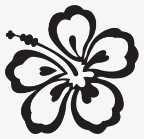 Hawaiian Flower Clipart Black And White, HD Png Download, Free Download