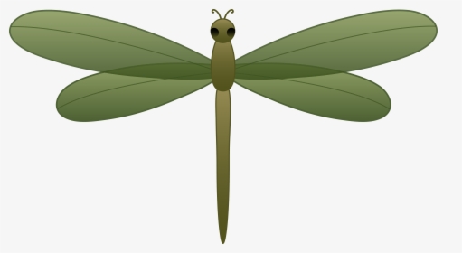 Dragonfly Clipart Cliparts And Others Art Inspiration - Realistic Dragonfly Free Clipart, HD Png Download, Free Download