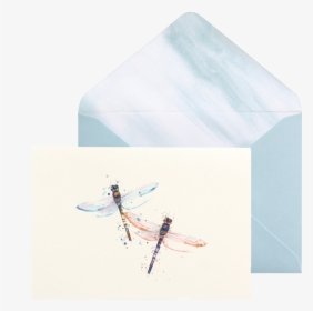 Dragonfly, HD Png Download, Free Download