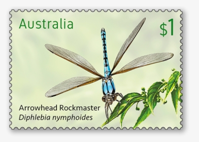 Hawker Dragonflies, HD Png Download, Free Download