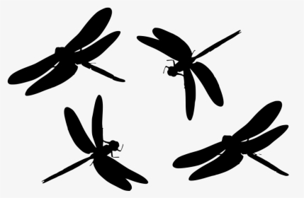 Free Dragonfly Svg, HD Png Download, Free Download