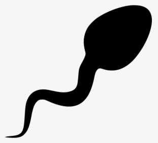 Sperm - Sperm Svg Free, HD Png Download, Free Download