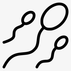 Sperm - Sperm Photo Png White, Transparent Png, Free Download