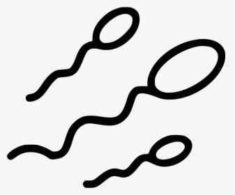 Sperm Cell Examination Man - Sperm Cells Clip Art, HD Png Download, Free Download