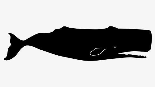 Silhouette Of A Sperm Whale, HD Png Download, Free Download