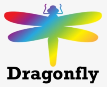 Dragonflies And Damseflies, HD Png Download, Free Download