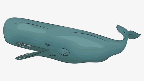 Blue Whale, HD Png Download, Free Download